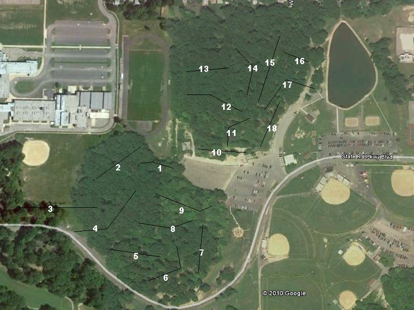 Parma Disc Golf Course at Veterans Memorial Park Professional Disc