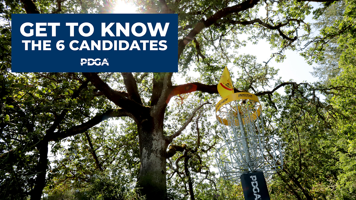 Get to Know the 6 Candidates for the PDGA Global Board of Directors Professional Disc Golf Association