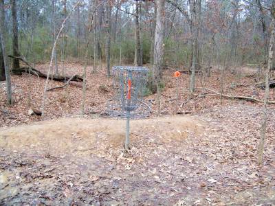 The Sinks Professional Disc Golf Association