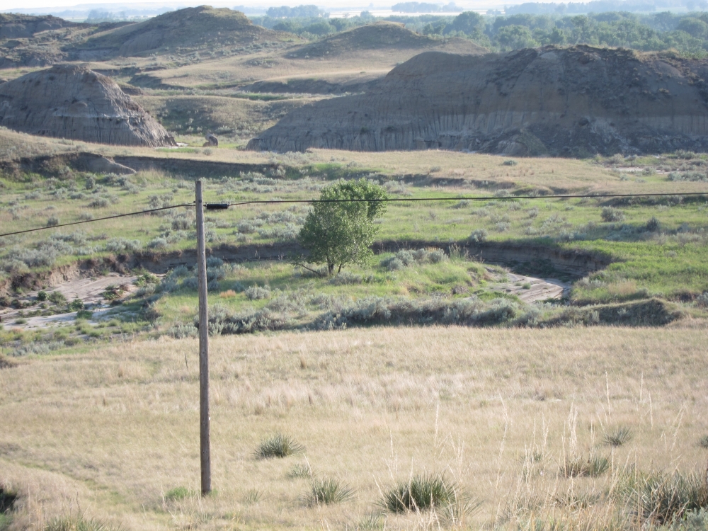 Dawson Community College Disc Golf Course