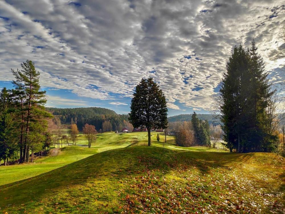 Krokhol Disc Golf Course Professional Disc Golf Association