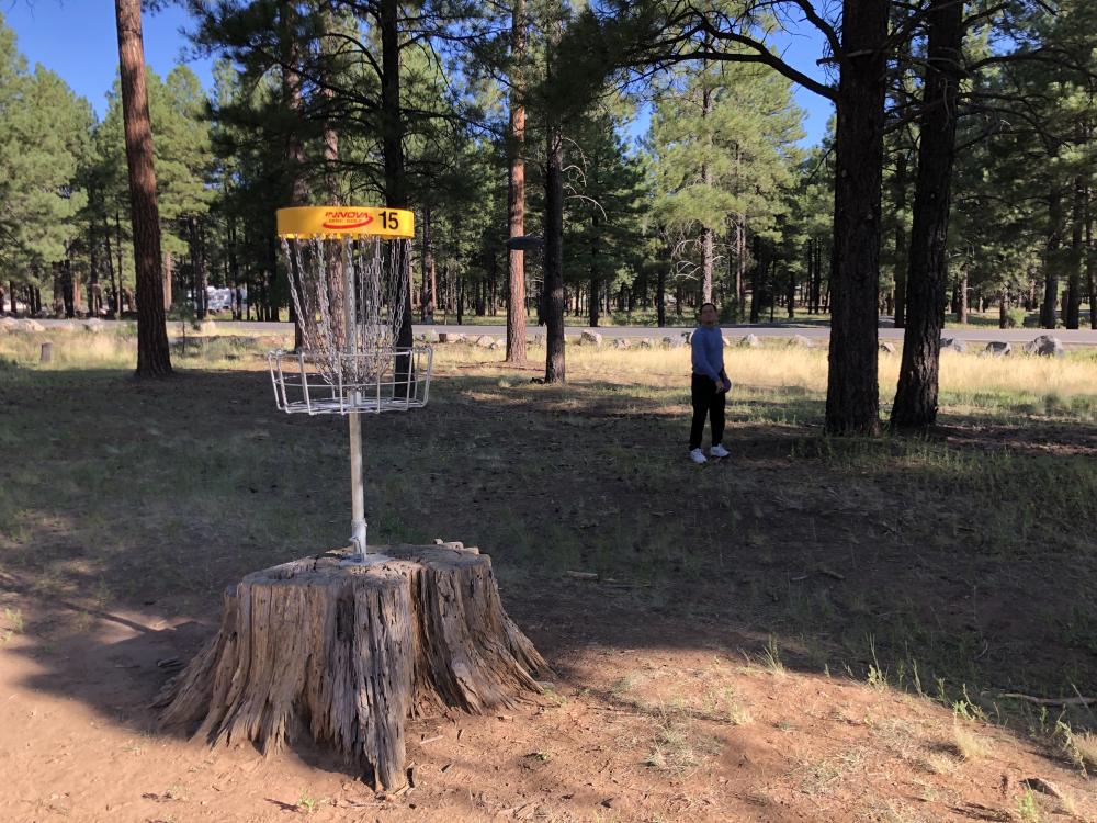 Fort Tuthill Disc Golf Course Professional Disc Golf Association