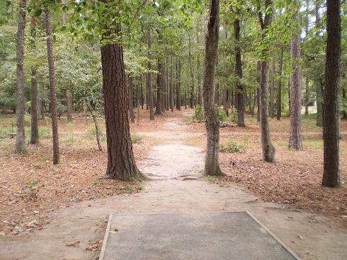 Arrowhead Disc Golf Course