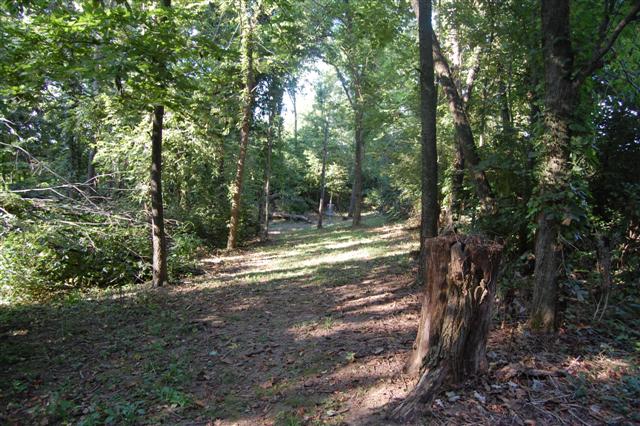 Ironworks Hills Disc Golf Course Professional Disc Golf Association