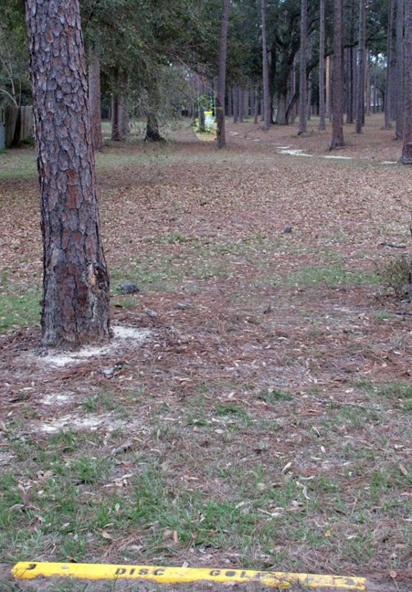 Hitzman Optimist Disc Golf Course Professional Disc Golf Association