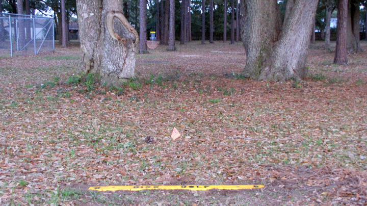 Hitzman Optimist Disc Golf Course Professional Disc Golf Association