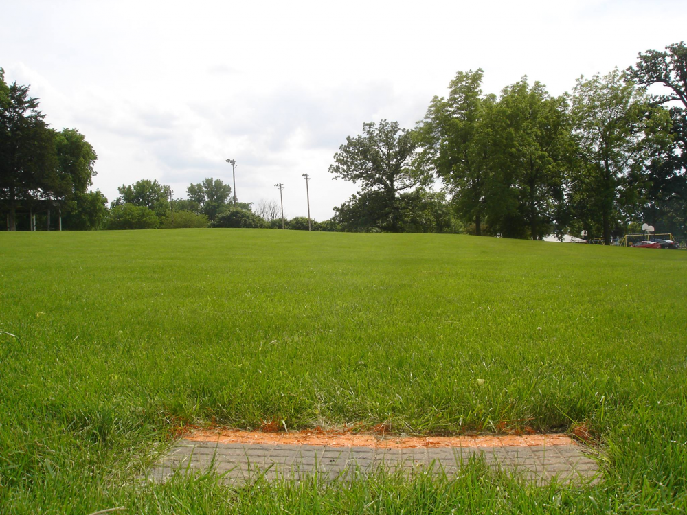 Walnut Disc Golf Course Professional Disc Golf Association