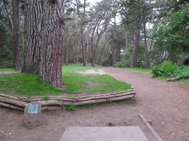 Golden Gate Park Disc Golf Course Professional Disc Golf Association