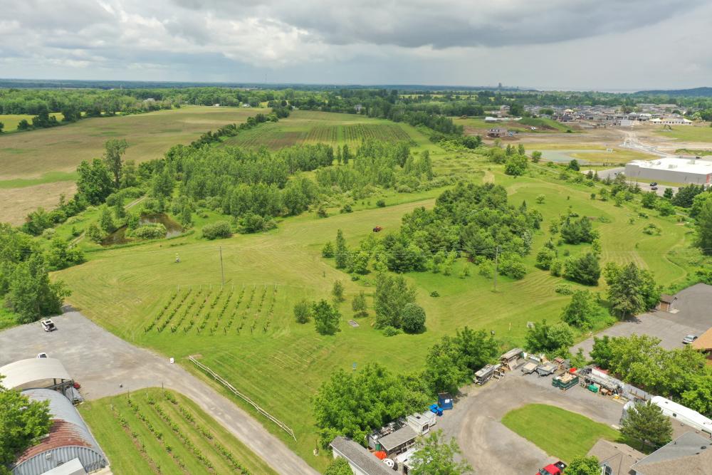 Hole 1 • Rideau Acres (Kingston, ON), Disc Golf Courses