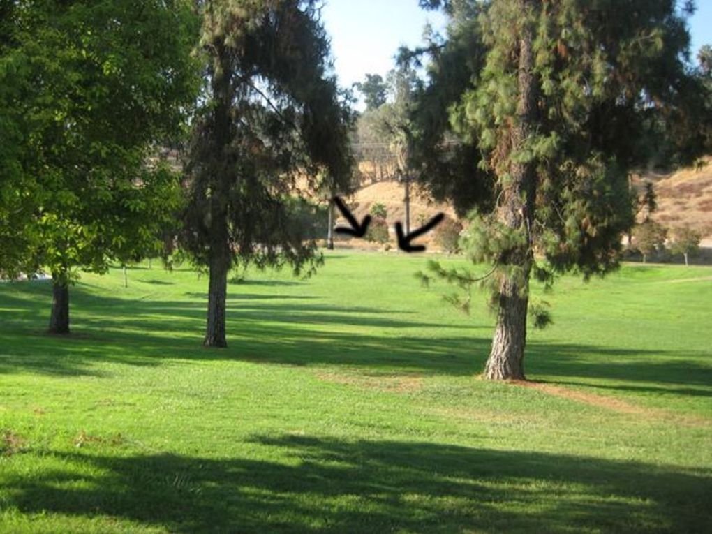 Ford park golf #9