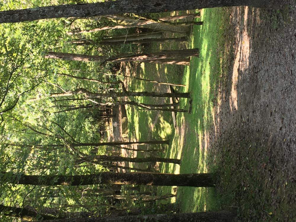 Idlewild Professional Disc Golf Association