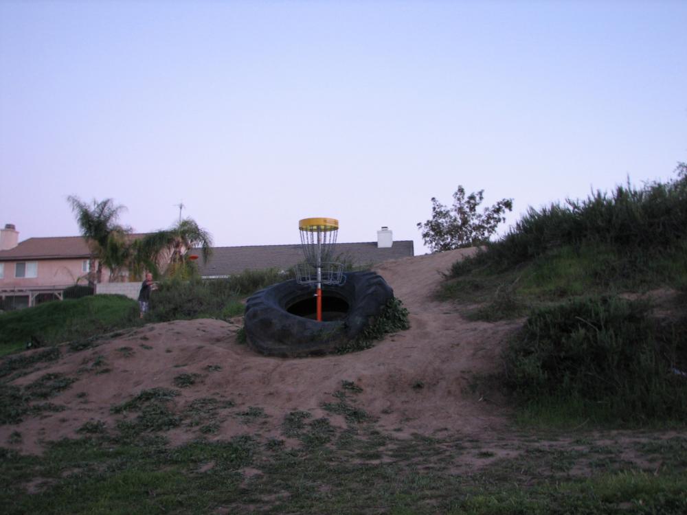 Mountain Pride Disc Golf Professional Disc Golf Association