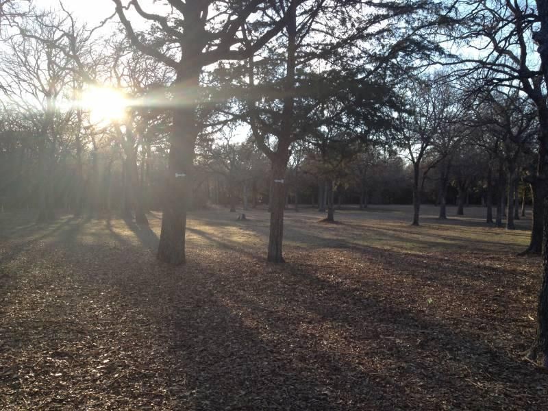 Melba Doyle Disc Golf Course Melba Doyle Disc Golf Course