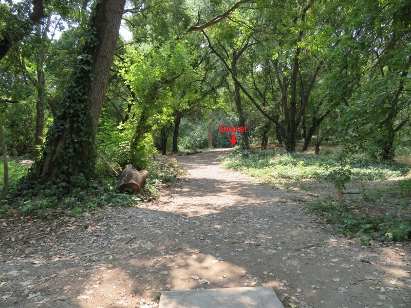 Reichmuth Park Professional Disc Golf Association