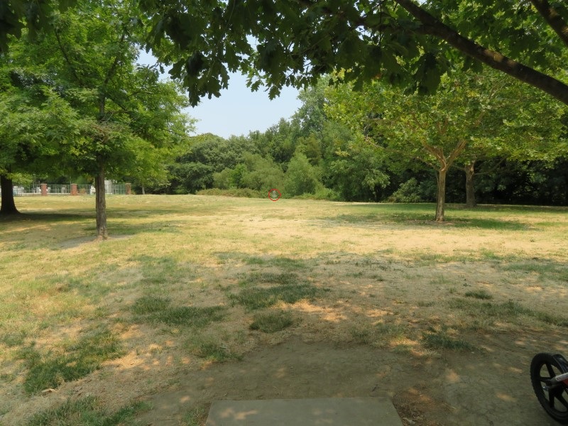 Reichmuth Park Professional Disc Golf Association
