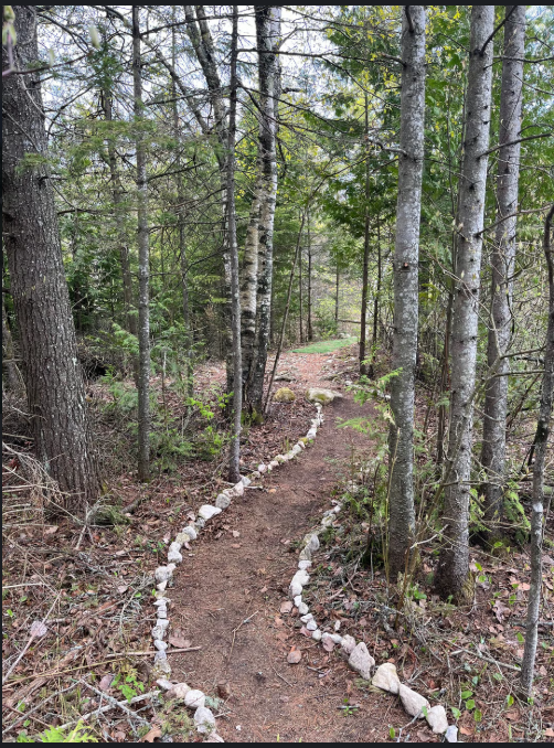 Turtle Park Turtle Park