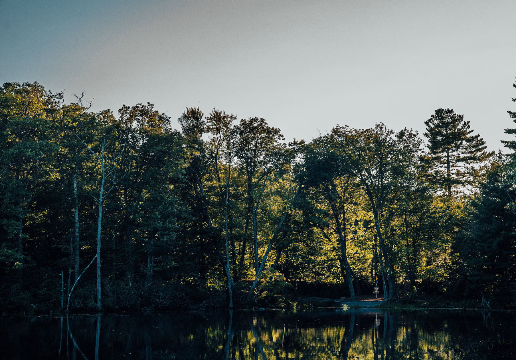 It's Time For Beloved Maple Hill Professional Disc Golf Association