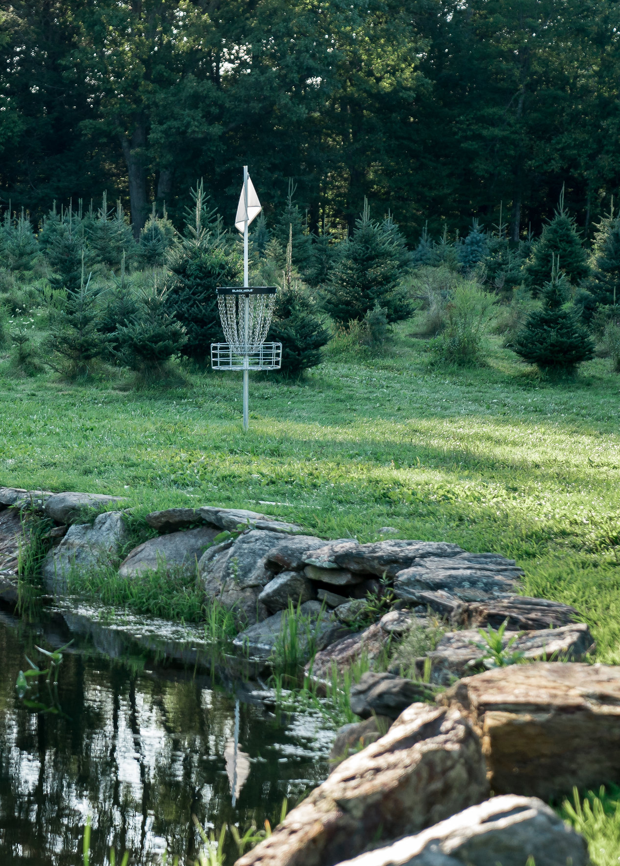 It's Time For Beloved Maple Hill Professional Disc Golf Association