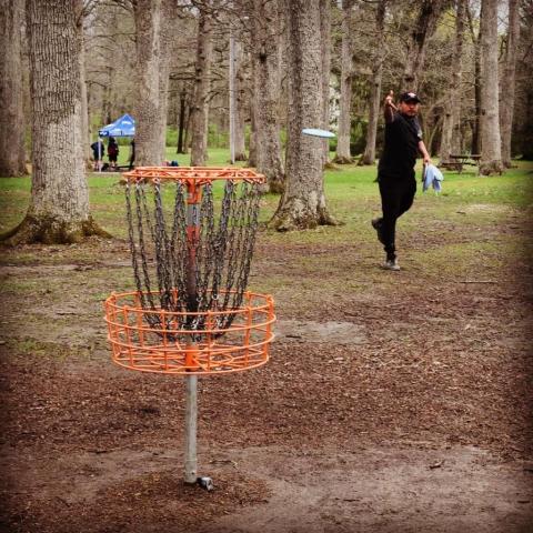 Disc._.Golf._.Addict's picture