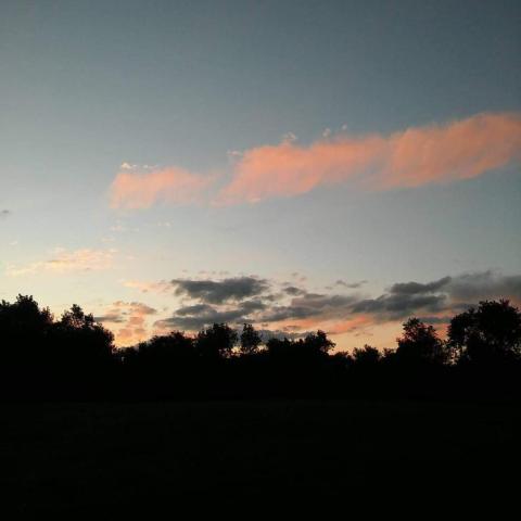 zachstory's picture