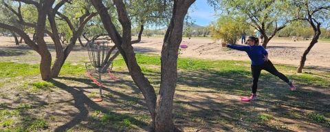 KatyBrogan's picture