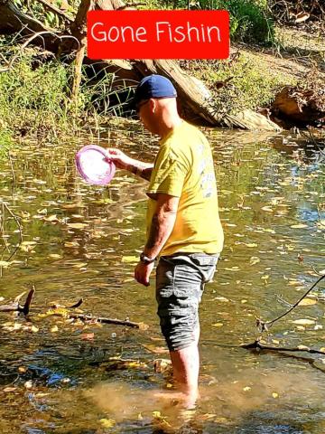 Mitch Lowe 169502's picture