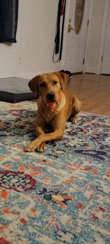 Eric Morton 191850's picture