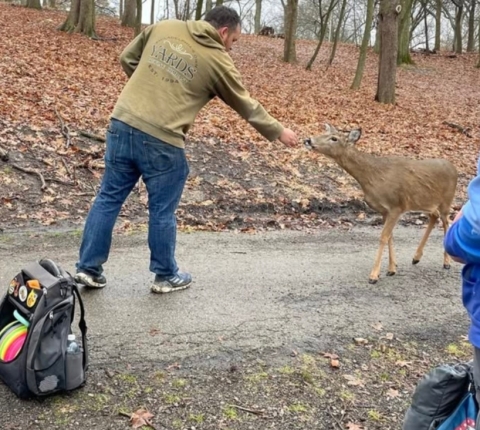 Amgarcia146's picture