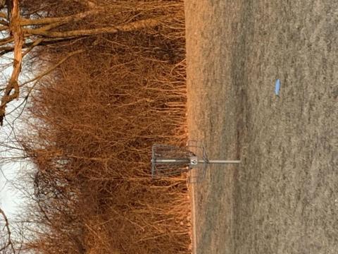 David Rogers 204522's picture