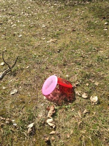 Paweena007's picture