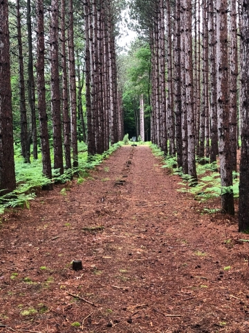 MICHAEL HATCH 215680's picture