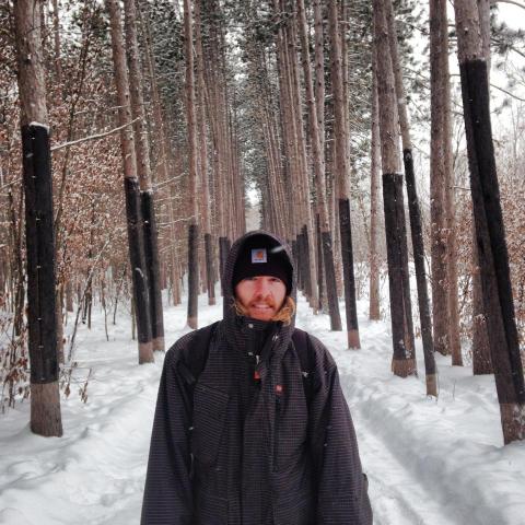 stupasta87's picture