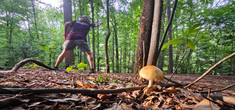 Noah Mullikin's picture