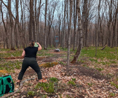 Kaylashort's picture