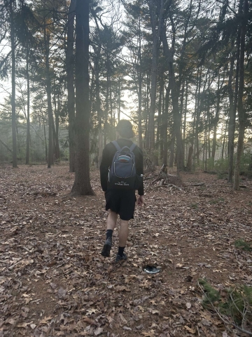 Will Meade's picture