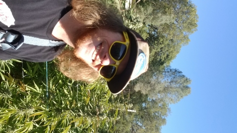 Ian Pickersgill 309152's picture