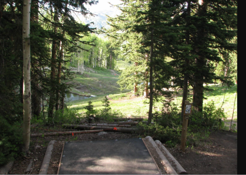 DaveGagnonn4329's picture