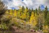 Cross Creek Disc Golf Course