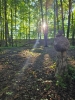Rocky Top Preserve