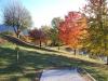 Ashe County Park Disc Golf Course