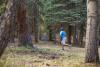 Cross Creek Disc Golf Course