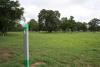 Hole 1. 256 ft.There is a tree mid way on the right hand side. Behind the basket are some trees.