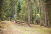 Cross Creek Disc Golf Course