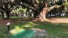 Gascoigne Park Disc Golf Course