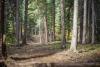 Cross Creek Disc Golf Course