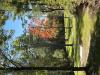 Devil's Grove Disc Golf - The Devil