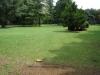 Showa Kinen Park