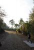 Tortoise Run Disc Golf Course