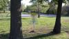 Clinton Disc Golf Course 