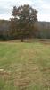 Moneta Disc Golf Course